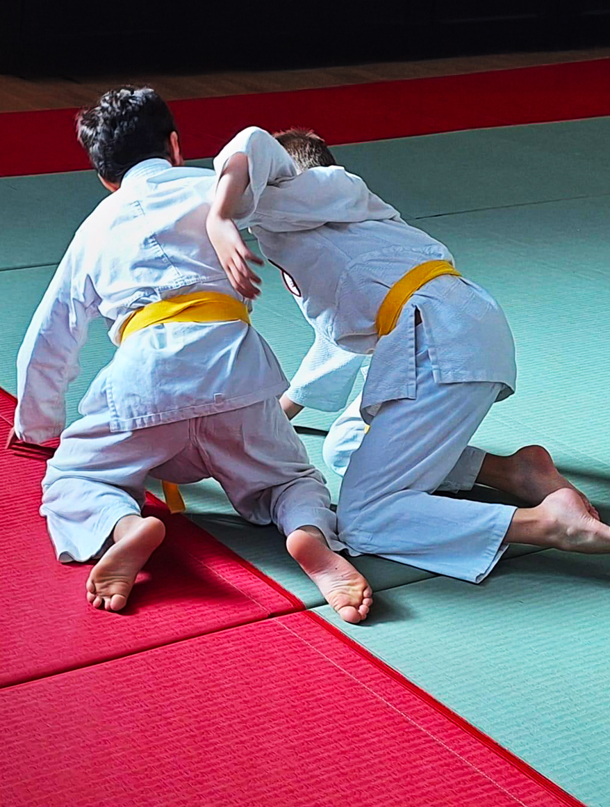 BUDO_contact