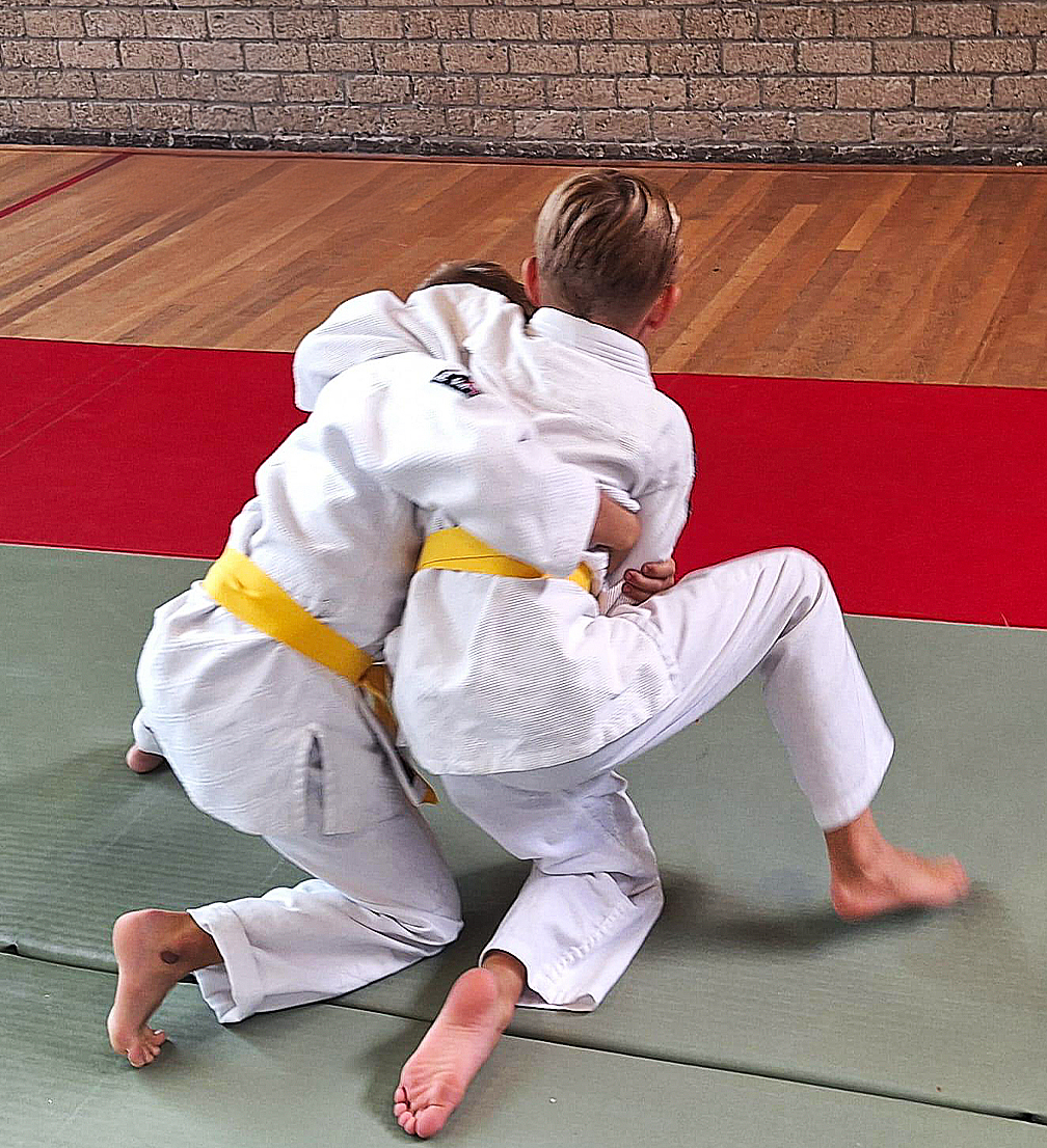 BUDO_proefles